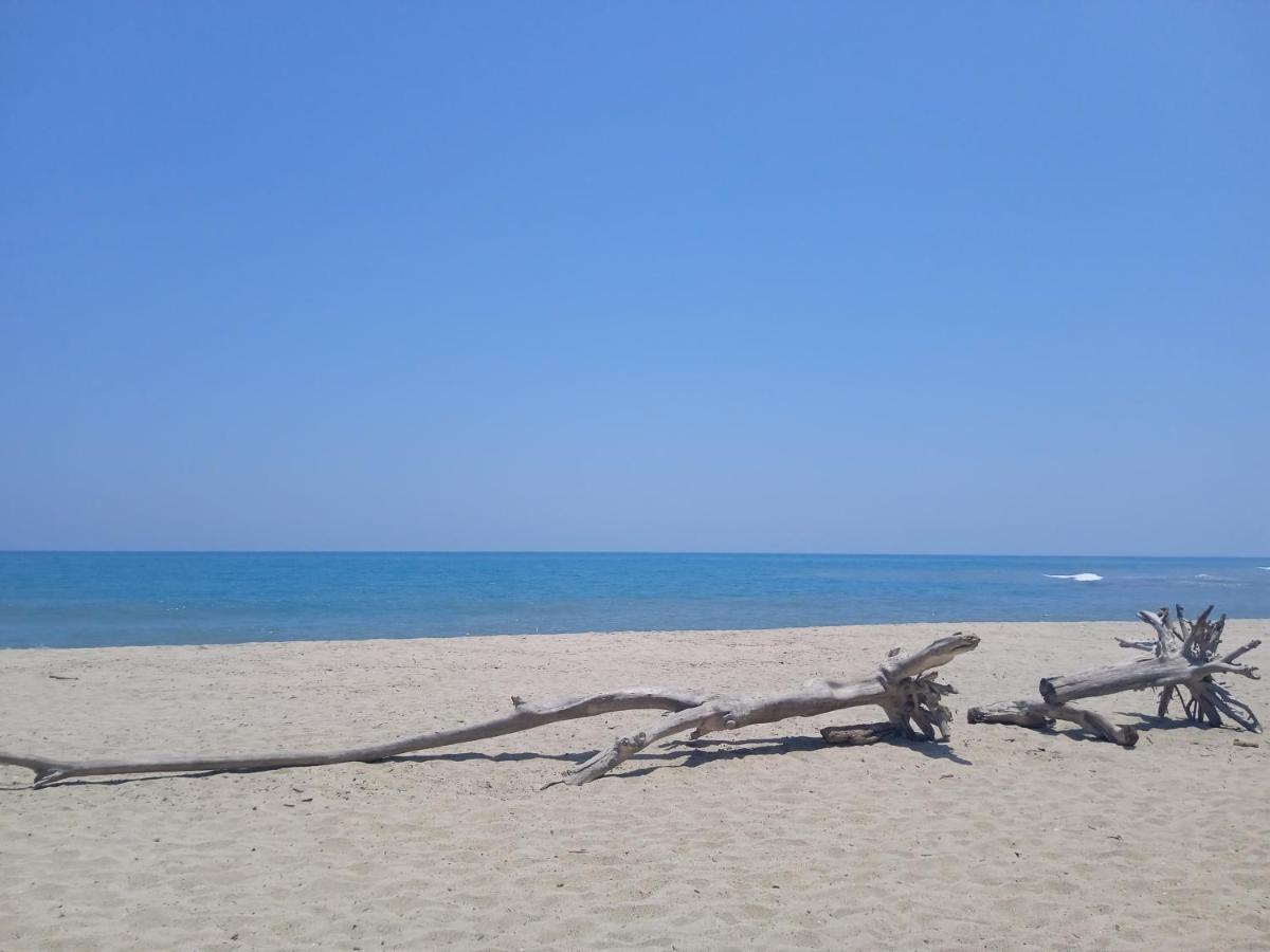 Bob Marley Beach Guachaca Exteriér fotografie