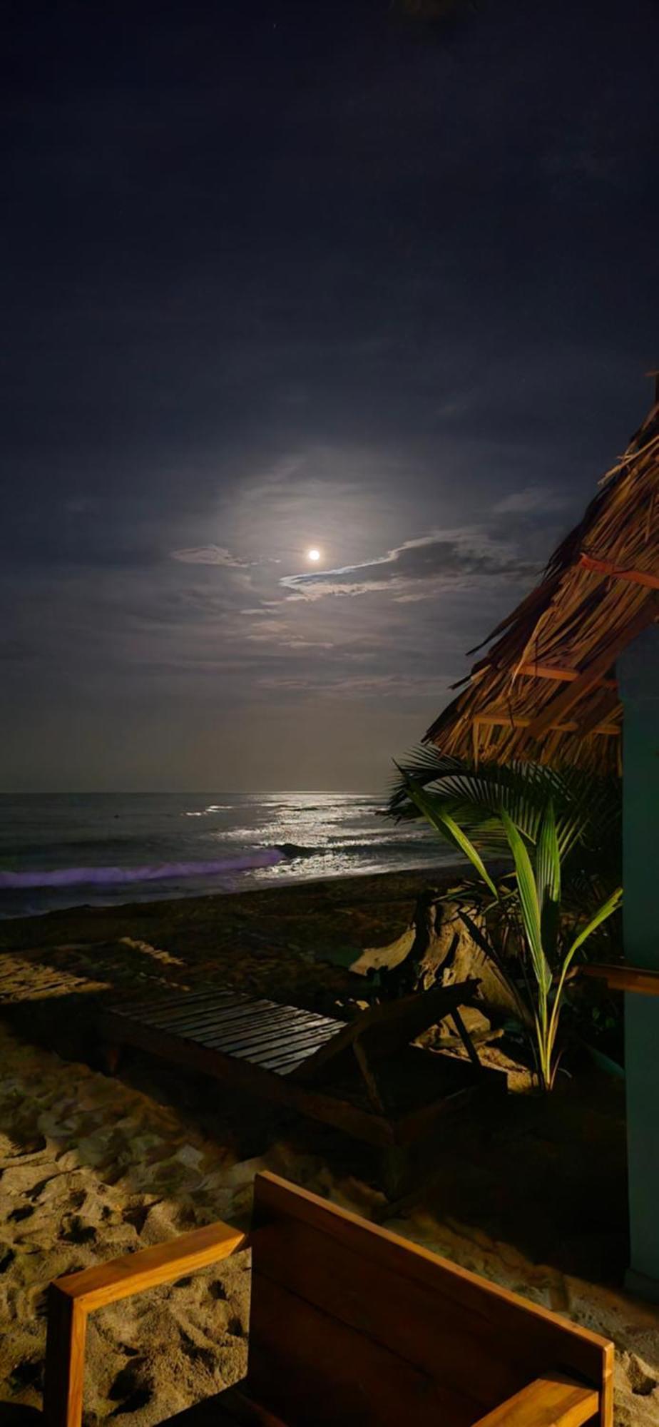 Bob Marley Beach Guachaca Exteriér fotografie